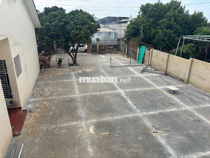 cho thuê căn hộ 246 đồng khởi tân lợi