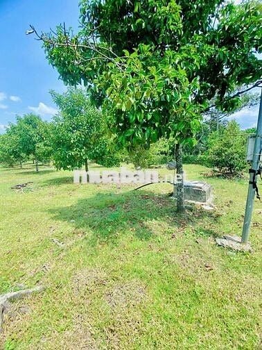 Mặt tiền nhựa. Sát khu công nghiệp.