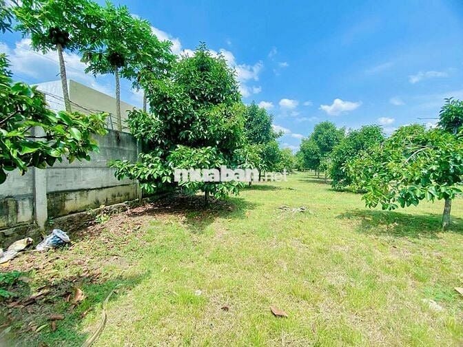 Mặt tiền nhựa. Sát khu công nghiệp.