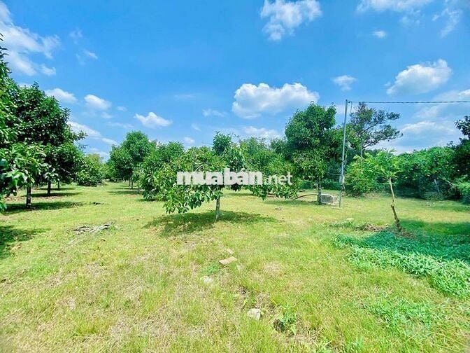 Mặt tiền nhựa. Sát khu công nghiệp.