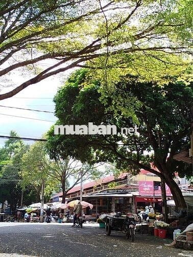 Cho thuê mặt bằng kinh doanh gần chợ MTB-NTNK