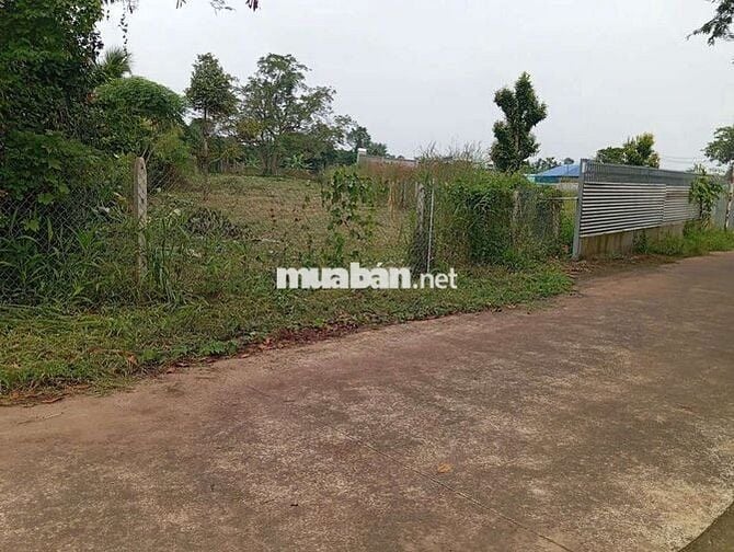 Mặt tiền nhựa. Sát khu công nghiệp.