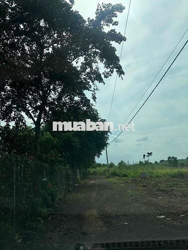 Bán vườn trái cây hàng gòn long khánh cách sân bay long thành 20 phút