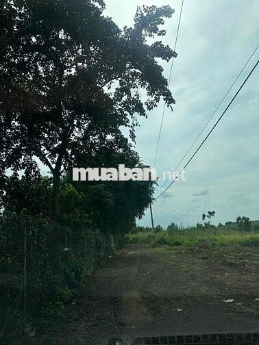 Bán vườn trái cây hàng gòn long khánh cách sân bay long thành 20 phút