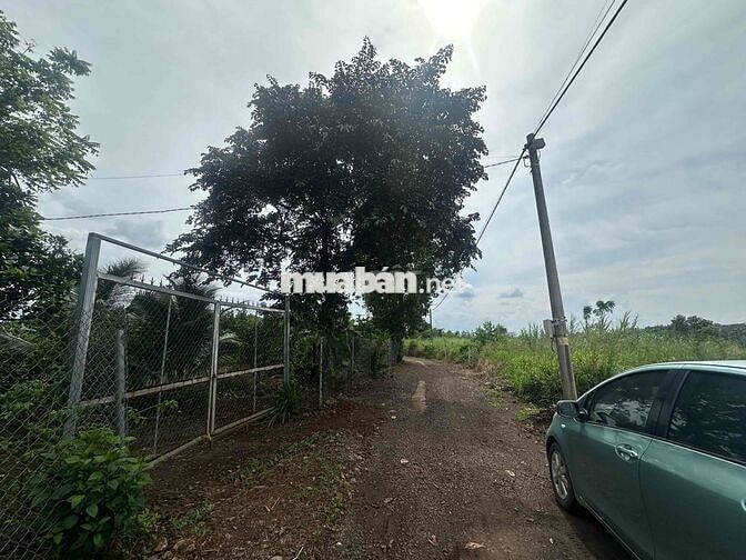 Bán vườn trái cây hàng gòn long khánh cách sân bay long thành 20 phút