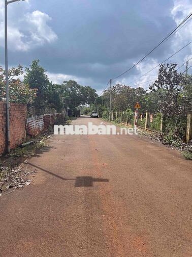 BÁN ĐẤT GIÁ RẺ – HÒA HƯNG, XUYÊN MỘC, BRVT Chỉ 550tr 🏡