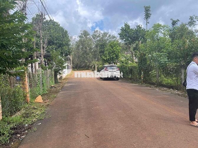 BÁN ĐẤT GIÁ RẺ – HÒA HƯNG, XUYÊN MỘC, BRVT Chỉ 550tr 🏡