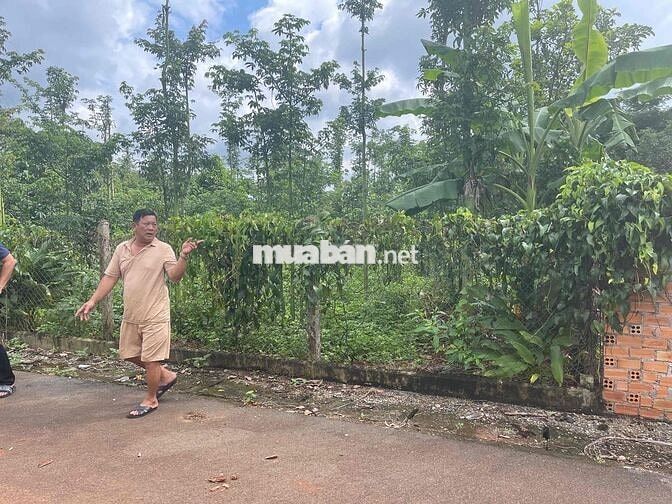 BÁN ĐẤT GIÁ RẺ – HÒA HƯNG, XUYÊN MỘC, BRVT Chỉ 550tr 🏡