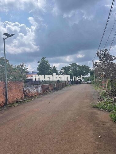 BÁN ĐẤT GIÁ RẺ – HÒA HƯNG, XUYÊN MỘC, BRVT Chỉ 550tr 🏡