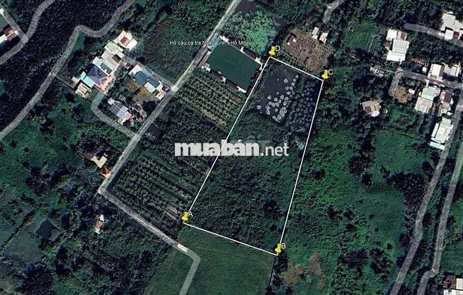 🏨 QUỸ ĐẤT VÀNG - CƠ HỘI ĐT DỰ ÁN LỚN  9.700M2 87.x.181  1️⃣5️⃣1️⃣ TỶ