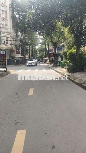 Siêu hot Khách sạn 5 tầng đường Quang Trung - P11 - Gò Vấp chỉ 12.5 tỷ