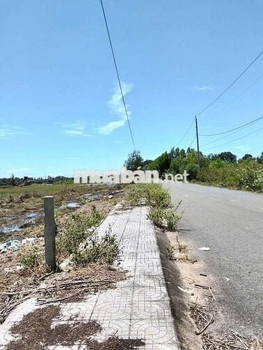 Hồ Tràm, mặt tiền đường ODA 28m, Sổ đỏ mới 2025