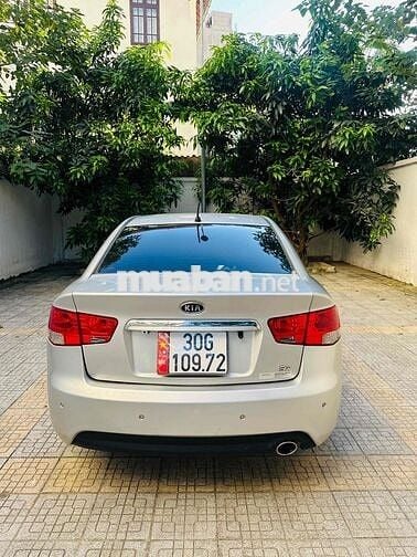 forte số tự động