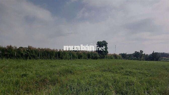 🏨 QUỸ ĐẤT VÀNG - CƠ HỘI ĐT DỰ ÁN LỚN  9.700M2 87.x.181  1️⃣5️⃣1️⃣ TỶ