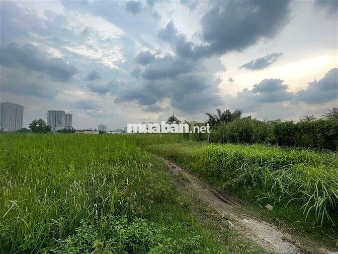 🏨 QUỸ ĐẤT VÀNG - CƠ HỘI ĐT DỰ ÁN LỚN  9.700M2 87.x.181  1️⃣5️⃣1️⃣ TỶ