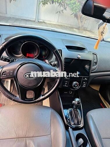 forte số tự động