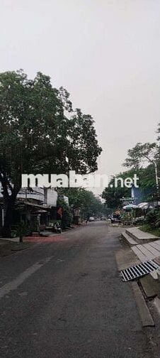 MUA 1 TẶNG 1 NỞT HẬU - DT 216m² - NGANG 8 - 4 TẦNG HXH 5M - NHỈNH 9 TỶ