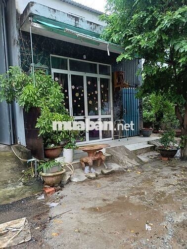 Cần bán đất kèm 4 phòng trọ ở hòa Thọ Tây