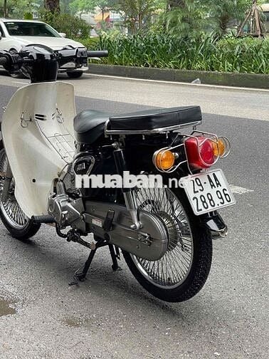 CÚP 50cc Biển tươi quá