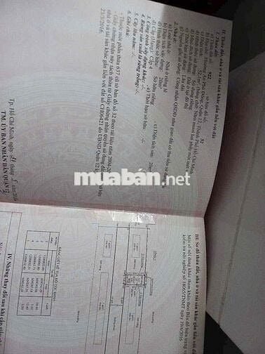 💥HXH QUỐC LỘ 1A AN PHÚ ĐÔNG ĐẤT 52M2 GIÁ CHỈ 3 TỶ 270 TRIỆU