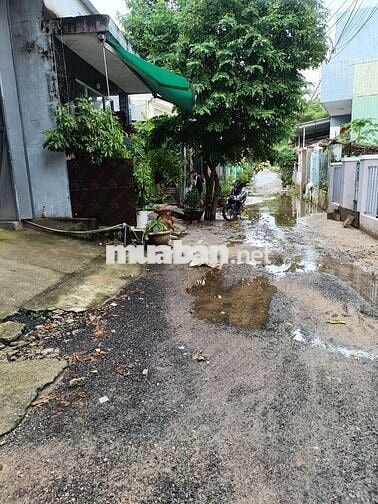 Cần bán đất kèm 4 phòng trọ ở hòa Thọ Tây