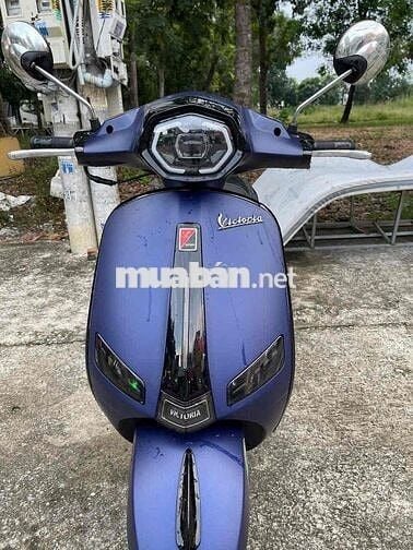 VICTORIA 50CC 2023 – TAY GA NHỎ GỌN CHO HỌC SINH
