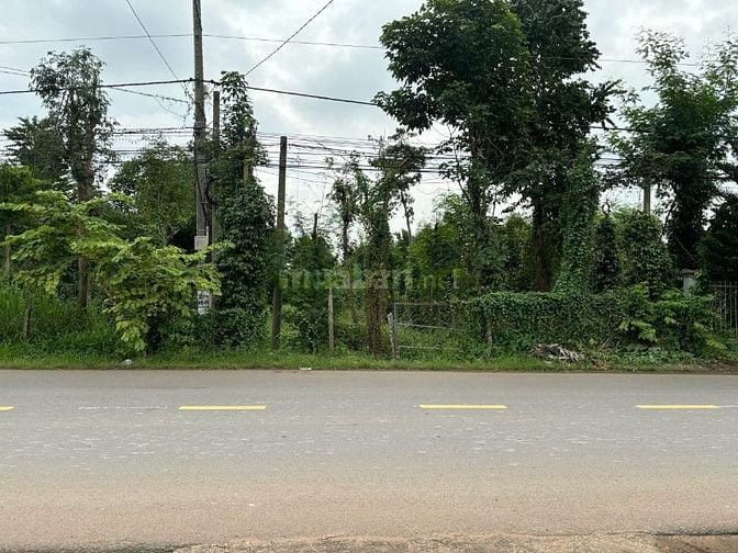 Công ty Đấu giá hợp danh Lam Sơn Sài Gòn THÔNG BÁO ĐẤU GIÁ TÀI SẢN