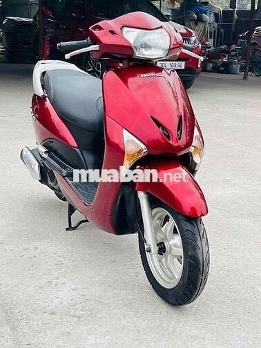 lead đẹp zin biển HN