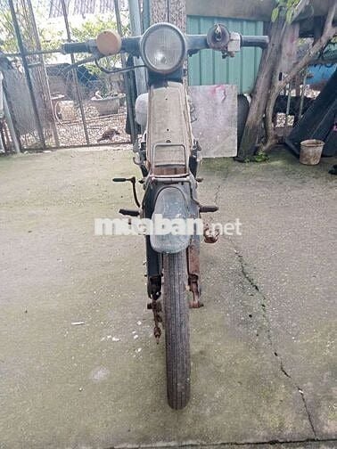 Honda cúp 70cc đời 81 biển số sài gòn