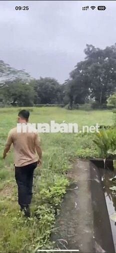 Bán gấp lô đất hơn 1 hec mặt đường Trương Thị Như Hóc Môn