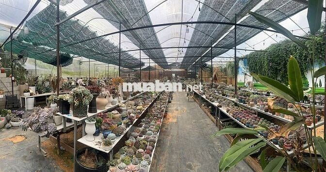 Cần sang quán cà phê tâm huyết (link googlemap dưới mô tả cho anh em)