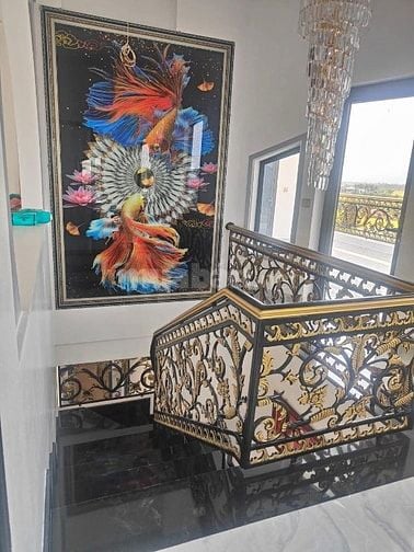 Biệt thự và đất đường DT871, Gò Công Đông. DT 4.740m2, nhà 1lầu 5PN