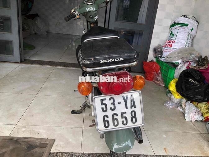 du xe cân ban cup 50