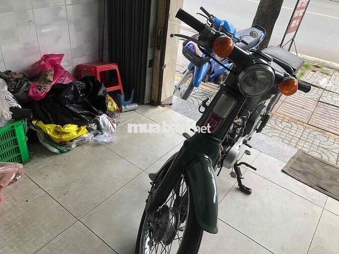 du xe cân ban cup 50