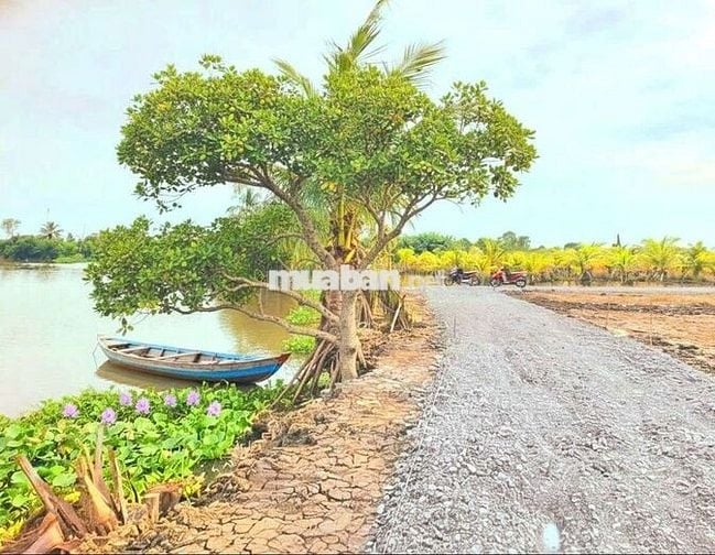 Hàng Vip, 500m2 đất vườn view sông cực đẹp chỉ 500tr