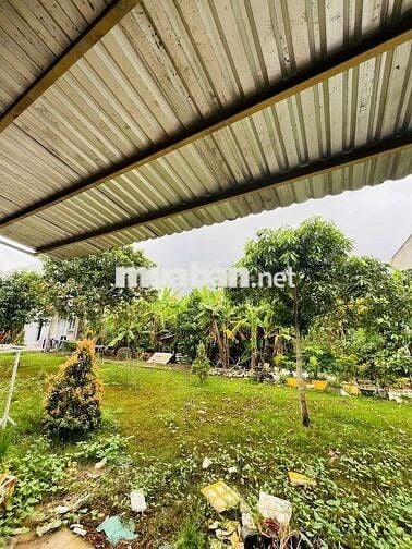 CHO THUÊ NHÀ TRỆT 100MV 6TR 1pn sân sau công viên 500mv