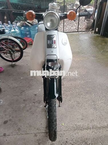 Honda cúp 50cc đời 89 có đề biển số sài gòn