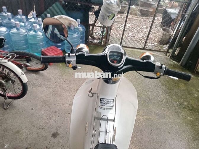 Honda cúp 50cc đời 89 có đề biển số sài gòn