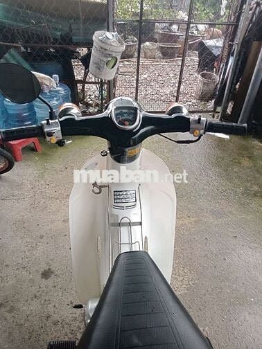 Honda cúp 50cc đời 89 có đề biển số sài gòn