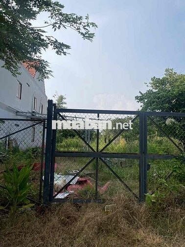 Bán gấp đất kế bên trường Việt Đức, vành đai 4, có giá đầu tư