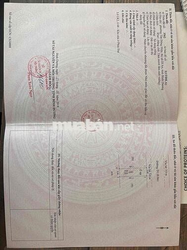 bán 2 lô đấy vị trí vip đường D1 trục chính kdc phúc đạt