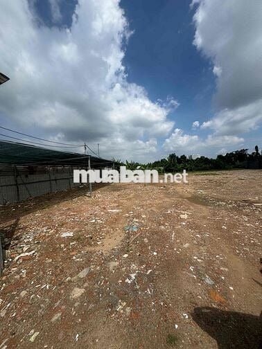 Cho Thuê Đất Tại Đường Tam Bình , Phường Tam Phú , Thủ Đức