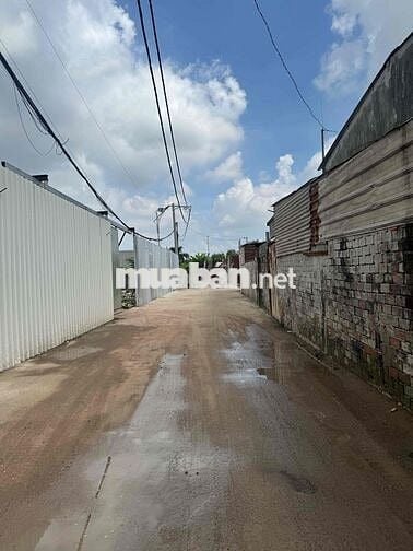 Cho Thuê Đất Tại Đường Tam Bình , Phường Tam Phú , Thủ Đức