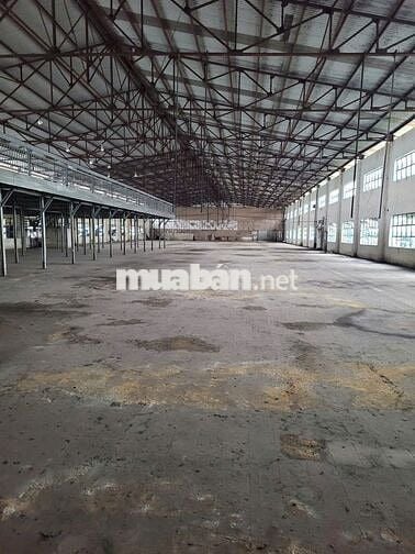 Cho thuê kho 368 triệu,46x 100m mặt tiền nhánh Trần Đại Nghĩa,Tân Kiên