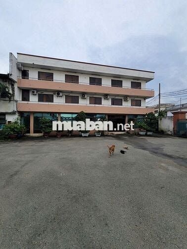 Cho thuê kho 368 triệu,46x 100m mặt tiền nhánh Trần Đại Nghĩa,Tân Kiên