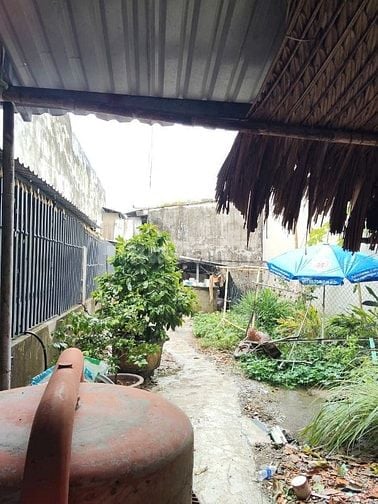 ✅Nhà 6x30 khu dân cư Trung Thành ,Cần Đước, Long An 