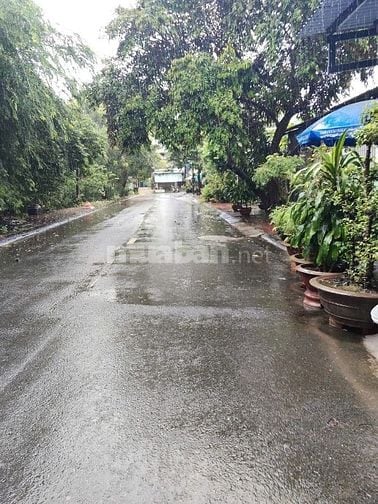 ✅Nhà 6x30 khu dân cư Trung Thành ,Cần Đước, Long An 