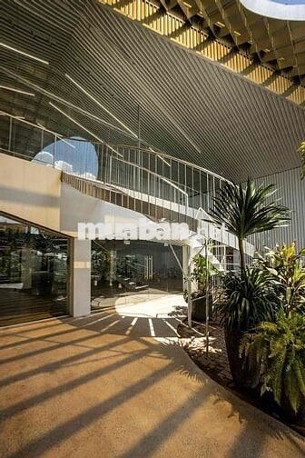 CHO THUÊ MT NGUYỄN TƯ GIẢN GÒ VẤP SIÊU SỊN 1000m2