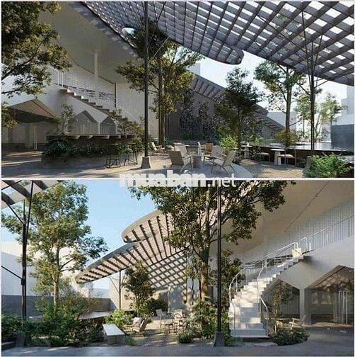 CHO THUÊ MT NGUYỄN TƯ GIẢN GÒ VẤP SIÊU SỊN 1000m2