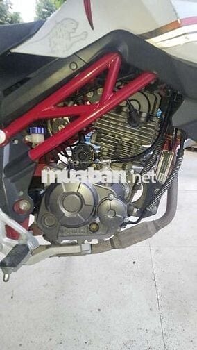 bán xe mô tô mini beneli như hình 5 số côn tay